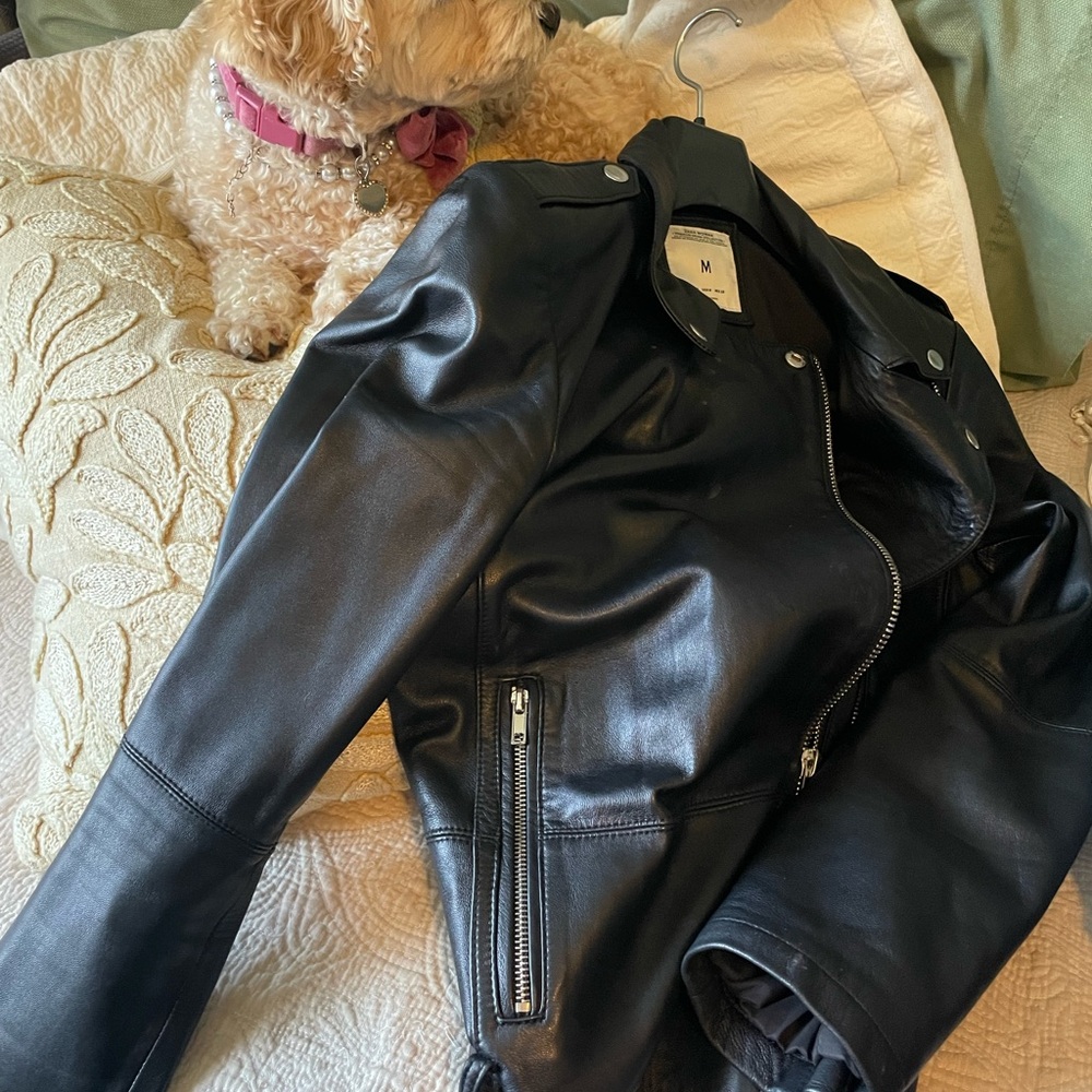 Zara Black Authentic Lambskin Leather Biker Jacket - Picture 5 of 10